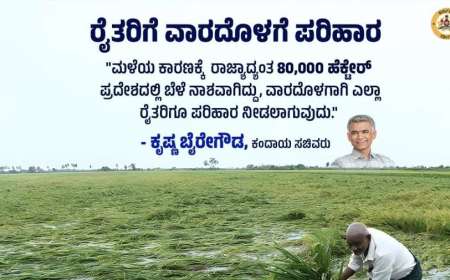 Bele parihara-250 ಕೋಟಿ ಬೆಳೆಹಾನಿ ಪರಿಹಾರ ಬಿಡುಗಡೆ,ವಾರದೊಳಗೆ ರೈತರ ಖಾತೆಗೆ  ಹಣ ಜಮಾ