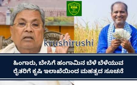 Rabi crop-ಹಿಂಗಾರು ಬೆಳೆ ಬೆಳೆದ ರೈತರಿಗೆ ಕೃಷಿ ಇಲಾಖೆಯಿಂದ ಮಹತ್ವದ ಮಾಹಿತಿ