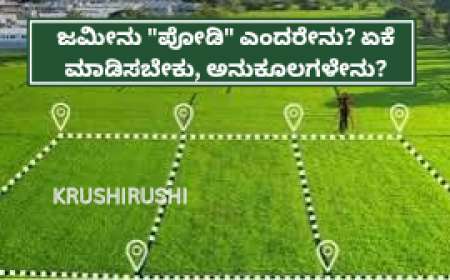 ಜಮೀನು "ಪೋಡಿ" ಎಂದರೇನು? ಏಕೆ ಮಾಡಿಸಬೇಕು, ಅನುಕೂಲಗಳೇನು? ಇಲ್ಲಿದೆ ನೋಡಿ ಮಾಹಿತಿ