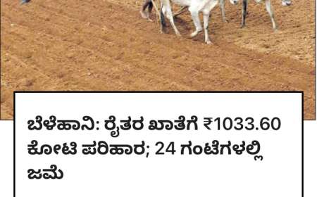 Input subsidy for crop loss-ರಾಜ್ಯದ 27 ಜಿಲ್ಲೆಗಳ 14.24 ಲಕ್ಷ ರೈತರಿಗೆ ರಾಜ್ಯ ಸರ್ಕಾರ ₹1,033.60 ಕೋಟಿ ಬೆಳೆಹಾನಿ ಪರಿಹಾರ,ನಿಮಗೇಷ್ಟು ಜಮಾ ಆಗಿದೆ ಹೀಗೆ ಚೆಕ್ ಮಾಡಿ