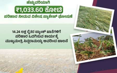 Crop loss-ಈ ಜಿಲ್ಲೆಯ ರೈತರ ಖಾತೆಗೆ 140 ಕೋಟಿ ಬೆಳೆ ಪರಿಹಾರ,ನಿಮ್ಮ ಸ್ಟೇಟಸ್ ಹೀಗೆ ಚೆಕ್ ಮಾಡಿ