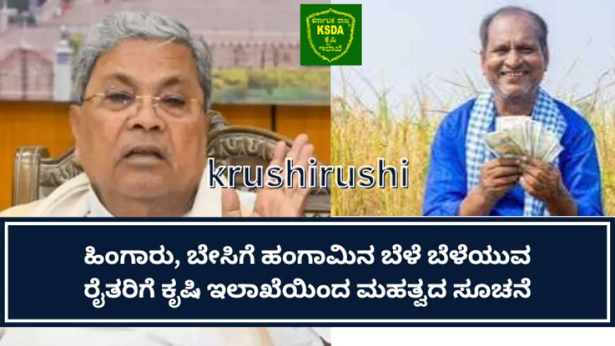 Rabi crop-ಹಿಂಗಾರು ಬೆಳೆ ಬೆಳೆದ ರೈತರಿಗೆ ಕೃಷಿ ಇಲಾಖೆಯಿಂದ ಮಹತ್ವದ ಮಾಹಿತಿ