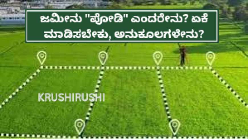 ಜಮೀನು "ಪೋಡಿ" ಎಂದರೇನು? ಏಕೆ ಮಾಡಿಸಬೇಕು, ಅನುಕೂಲಗಳೇನು? ಇಲ್ಲಿದೆ ನೋಡಿ ಮಾಹಿತಿ