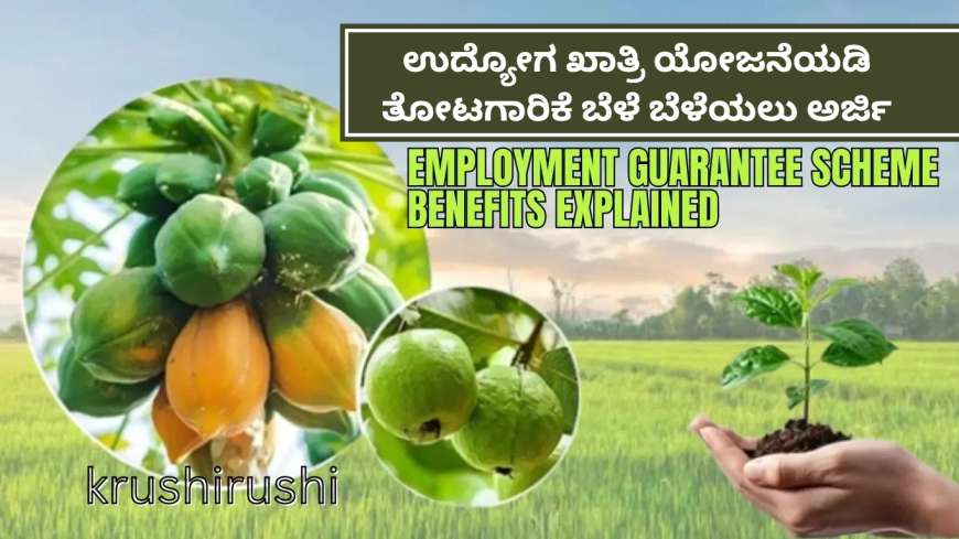 ಸಣ್ಣ, ಅತೀ ಸಣ್ಣ ರೈತರಿಗೆ ಗುಡ್ ನ್ಯೂಸ್: ಉದ್ಯೋಗ ಖಾತ್ರಿ ಯೋಜನೆಯಡಿ ತೋಟಗಾರಿಕೆ ಬೆಳೆ ಬೆಳೆಯಲು ಅರ್ಜಿ