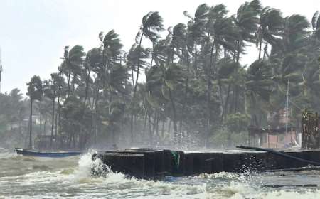 ವಾಯುಭಾರ ಕುಸಿತವಾಗಿ ದುರ್ಬಲಗೊಂಡ ದಿತ್ವಾ ಚಂಡಮಾರುತ, ತಮಿಳುನಾಡಿನ ಹಲವು ಭಾಗಗಳಿಗೆ ಅಲರ್ಟ್‌ ಘೋಷಣೆ