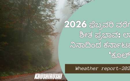 2026 ಫೆಬ್ರವರಿ ವರೆಗೆ ಶೀತ ಪ್ರಭಾವ: ಲಾ ನಿನಾದಿಂದ ಕರ್ನಾಟಕ ‘ಕೂಲ್’