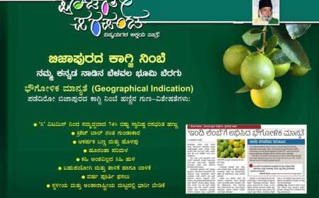 Poochanthe Parapancha- ತಮ್ಮ ಕನಸಿನ ತೋಟ ನಿರ್ಮಾಣಕ್ಕೆ 'ಪೂಚಂತೇ ಪರಪಂಚ'ದ ಸಸಿಗಳು ಮೊದಲ ಆದ್ಯತೆಯಾಗಲಿ.