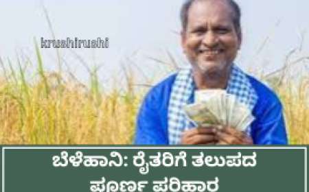 ಬೆಳೆ ವಿಮೆ ಜಮೆ ಆರಂಭ; ಕಡಿಮೆ ಮೊತ್ತ ಜಮೆ ಆಗುತ್ತಿದೆ ಎಂದು ರೈತರ ಆರೋಪ