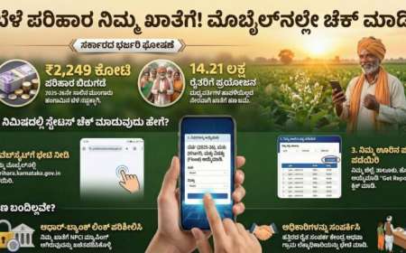 Dbt Karnataka-ರಾಜ್ಯ ಸರ್ಕಾರದಿಂದ ಬೆಳೆ ಹಾನಿ ಪರಿಹಾರ ಚೆಕ್ ಮಾಡುವ ಆ್ಯಪ್ ಬಿಡುಗಡೆ