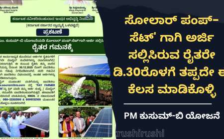 PM ಕುಸುಮ್-ಬಿ ಯೋಜನೆ : ಸೋಲಾರ್ ಪಂಪ್-ಸೆಟ್' ಗಾಗಿ ಅರ್ಜಿ ಸಲ್ಲಿಸಿರುವ ರೈತರೇ ಡಿ.30ರೊಳಗೆ ತಪ್ಪದೇ ಈ ಕೆಲಸ ಮಾಡಿಕೊಳ್ಳಿ
