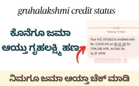 Gruhalakshmi 24th instalment-ಕೊನೆಗೂ ಜಮಾ ಆಯ್ತು 24ನೇ ಕಂತಿನ ಗೃಹಲಕ್ಷ್ಮಿ ಹಣ, ನಿಮಗೂ ಜಮಾ ಆಯ್ತಾ ಚೆಕ್ ಮಾಡಿ