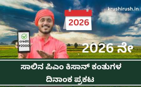 2026 ನೇ ಸಾಲಿನ ಪಿಎಂ ಕಿಸಾನ್ ಕಂತುಗಳ ದಿನಾಂಕ ಪ್ರಕಟ-Pmkisan Kisan instalment dates-2026
