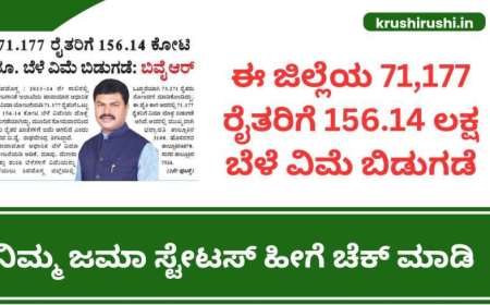 Bele vime- ಈ ಜಿಲ್ಲೆಯ 2.49 ಲಕ್ಷ ರೈತರಿಗೆ 559 ಕೋಟಿ ಬೆಳೆವಿಮೆ ಪರಿಹಾರ, ನಿಮ್ಮ ಸ್ಟೇಟಸ್ ಹೀಗೆ ಚೆಕ್ ಮಾಡಿ 