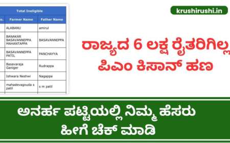 ರಾಜ್ಯದ 6 ಲಕ್ಷ ರೈತರಿಗಿಲ್ಲ ಪಿಎಂ ಕಿಸಾನ್ ಹಣ,ಅನರ್ಹ ಪಟ್ಟಿಯಲ್ಲಿ ನಿಮ್ಮ ಹೆಸರು ಹೀಗೆ ಚೆಕ್ ಮಾಡಿ-pmkisan 22nd instalment ineligible list