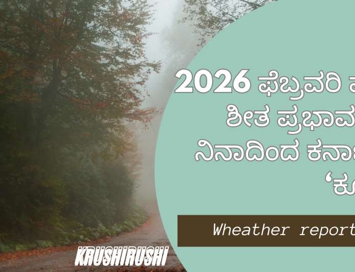 2026 ಫೆಬ್ರವರಿ ವರೆಗೆ ಶೀತ ಪ್ರಭಾವ: ಲಾ ನಿನಾದಿಂದ ಕರ್ನಾಟಕ ‘ಕೂಲ್’