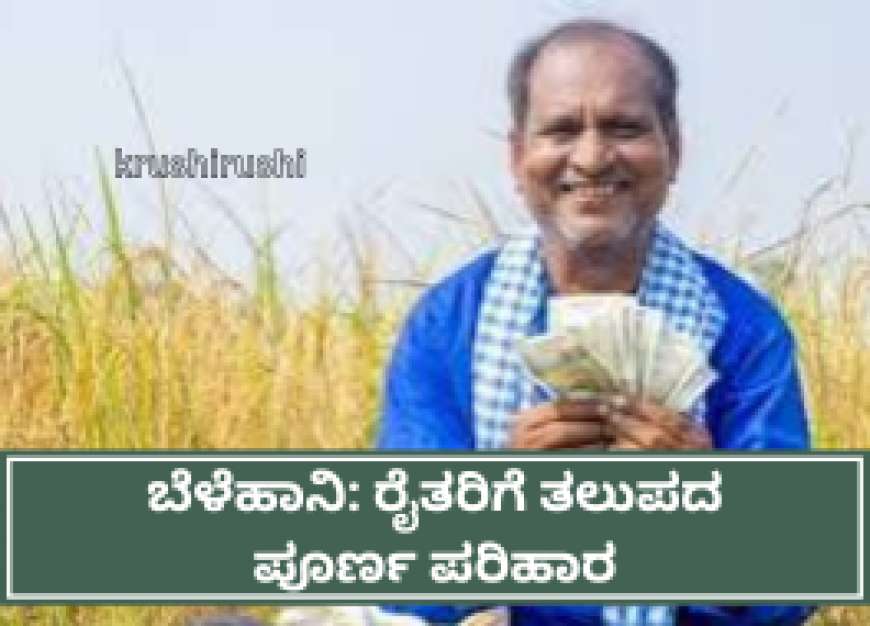 ಬೆಳೆ ವಿಮೆ ಜಮೆ ಆರಂಭ; ಕಡಿಮೆ ಮೊತ್ತ ಜಮೆ ಆಗುತ್ತಿದೆ ಎಂದು ರೈತರ ಆರೋಪ