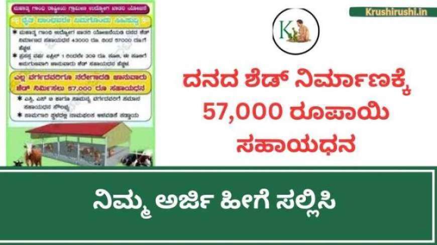 Cow Shed Subsidy: ಹಸು ಮತ್ತು ಎಮ್ಮೆ ಗಾಗಿ ಶೆಡ್ ನಿರ್ಮಿಸಲು 57,000 ಸಹಾಯಧನ!
