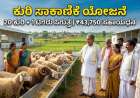 Kuri sakanike-ಅಮೃತ ಸ್ವಾಭಿಮಾನಿ ಕುರಿಗಾಹಿ ಯೋಜನೆ: ಕುರಿ ಸಾಕಾಣಿಕೆಗೆ 43,750 ರೂಪಾಯಿ ರೈತರ ಖಾತೆಗೆ ನೇರ ಜಮಾ