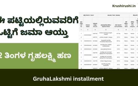 Gruhalakshmi list-ಕೊನೆಗೂ ಈ ಪಟ್ಟಿಯಲ್ಲಿರುವವರಿಗೆ ಒಟ್ಟಿಗೆ ಜಮಾ ಆಯ್ತು 2 ತಿಂಗಳ ಗೃಹಲಕ್ಷ್ಮಿ ಹಣ
