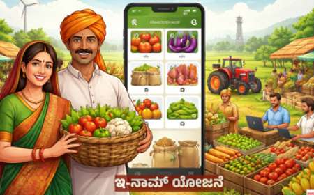 e-NAM-ಇ-ನಾಮ್ ಯೋಜನೆ: ರೈತರ ಉತ್ಪನ್ನಗಳಿಗೆ ಡಿಜಿಟಲ್ ಮಂಡಿ; ಮಧ್ಯವರ್ತಿ ಇಲ್ಲದೆ ದೇಶಾದ್ಯಂತ ಮಾರುಕಟ್ಟೆ; ನೋಂದಣಿ ಹೇಗೆ? ಪ್ರಯೋಜನಗಳೇನು?