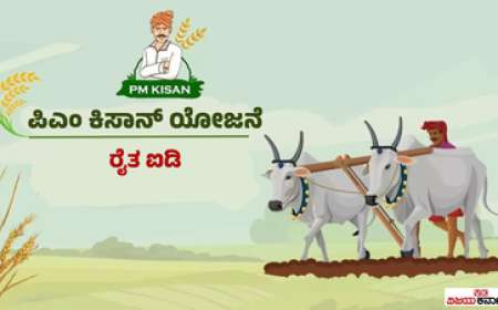 Pmkisan id-ಪಿಎಂ ಕಿಸಾನ್: ರೈತರಿಗೀಗ ವಿಶಿಷ್ಟ ಡಿಜಿಟಲ್ ಐಡಿ ಕಡ್ಡಾಯ! ಏನಿದು ರೈತ ಐಡಿ? ನೋಂದಣಿ ಹೇಗೆ? ಪ್ರಯೋಜನಗಳೇನು?