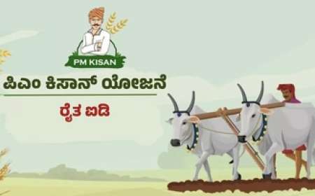 Pmkisan id-ಪಿಎಂ ಕಿಸಾನ್: ರೈತರಿಗೀಗ ವಿಶಿಷ್ಟ ಡಿಜಿಟಲ್ ಐಡಿ ಕಡ್ಡಾಯ! ಏನಿದು ರೈತ ಐಡಿ? ನೋಂದಣಿ ಹೇಗೆ? ಪ್ರಯೋಜನಗಳೇನು?