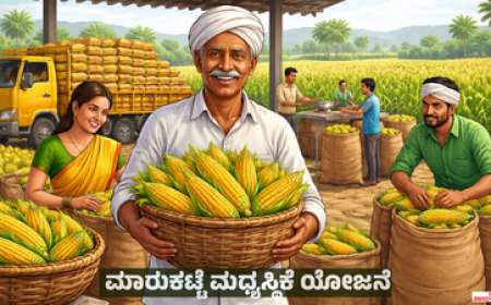 Maize support price-ಮೆಕ್ಕೆಜೋಳ ಬೆಳೆಗಾರರಿಗಾಗಿ ಮಾರುಕಟ್ಟೆ ಮಧ್ಯಸ್ಥಿಕೆ ಯೋಜನೆ; ಬೆಲೆ ಕುಸಿತಕ್ಕೆ ಬ್ರೇಕ್