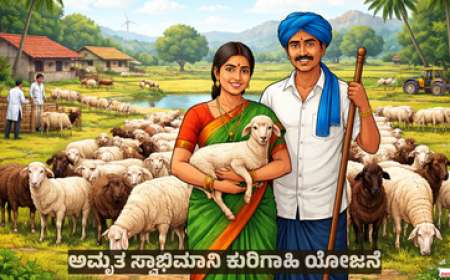 Kuri sakanike-ಅಮೃತ ಸ್ವಾಭಿಮಾನಿ ಕುರಿಗಾಹಿ ಯೋಜನೆ: ಕುರಿ ಸಾಕಾಣಿಕೆಗೆ 43,750 ರೂಪಾಯಿ ರೈತರ ಖಾತೆಗೆ ನೇರ ಜಮಾ