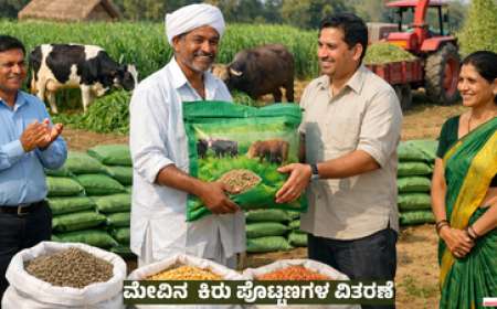 Free fodder seeds-ಉಚಿತ ಮೇವಿನ ಬೀಜಗಳವಿತರಣೆ
