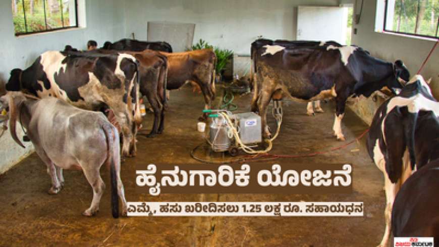 Dairy farming-ಹೈನುಗಾರಿಕೆ ಯೋಜನೆಯಡಿ ಎಮ್ಮೆ- ಹಸು ಖರೀದಿಸಲು 1.25 ಲಕ್ಷ ರೂ. ಸಹಾಯಧನ