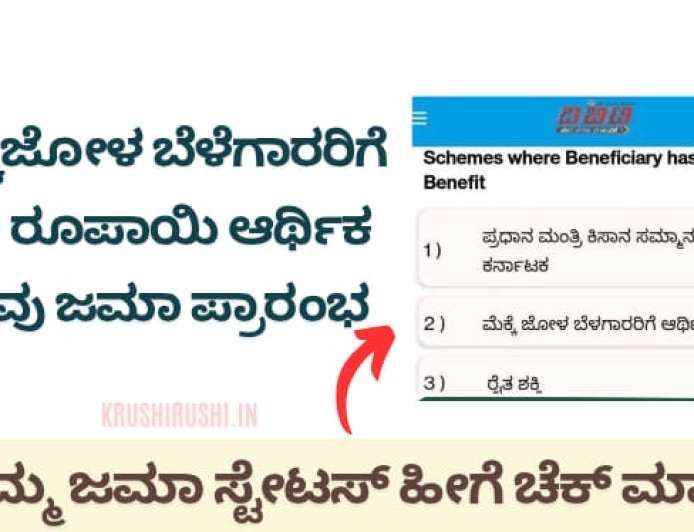 Maize DBT-ಮೆಕ್ಕೆಜೋಳ ಬೆಳೆಗಾರರಿಗೆ 250 ರೂಪಾಯಿ ಆರ್ಥಿಕ ನೆರವು ಜಮಾ ಪ್ರಾರಂಭ,ನಿಮ್ಮ ಜಮಾ ಸ್ಟೇಟಸ್ ಚೆಕ್ ಮಾಡುವ ಡೈರೆಕ್ಟ್ ಲಿಂಕ್