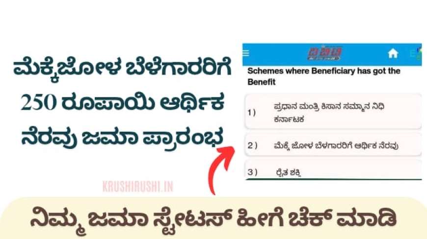Maize DBT-ಮೆಕ್ಕೆಜೋಳ ಬೆಳೆಗಾರರಿಗೆ 250 ರೂಪಾಯಿ ಆರ್ಥಿಕ ನೆರವು ಜಮಾ ಪ್ರಾರಂಭ,ನಿಮ್ಮ ಜಮಾ ಸ್ಟೇಟಸ್ ಚೆಕ್ ಮಾಡುವ ಡೈರೆಕ್ಟ್ ಲಿಂಕ್