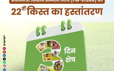 Pmkisan 22nd instalment date-ಮಾರ್ಚ್ 13 ರಂದು ಈ ಪಟ್ಟಿಯಲ್ಲಿರುವವರಿಗೆ ಜಮಾ ಆಗಲಿದೆ 22ನೇ ಪಿಎಂ ಕಿಸಾನ್ ಕಂತು
