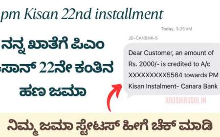 ನನ್ನ ಖಾತೆಗೆ ಪಿಎಂ ಕಿಸಾನ್ 22ನೇ ಕಂತಿನ ಹಣ ಜಮಾ, ನಿಮ್ಮ ಜಮಾ ಸ್ಟೇಟಸ್ ಹೀಗೆ ಚೆಕ್ ಮಾಡಿ-Pmkisan 22nd instalment amount credited