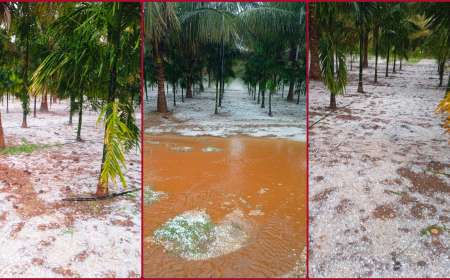 Male Mahithi-ಮುಂದಿನ ಮೂರು ದಿನ ಈ ಜಿಲ್ಲೆಗಳಲ್ಲಿ ಸುರಿಯಲಿದೆ ಆಲಿಕಲ್ಲು ಮಳೆ