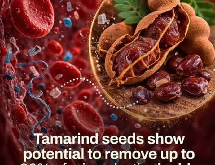 Tamarind seeds-ಇನ್ನು ಮುಂದೆ ಹುಣಸೆ ಬೀಜ ಎಸೆಯಬೇಡಿ, ಇದು ನಿಮ್ಮ ದೇಹದ 90% ಪ್ಲಾಸ್ಟಿಕ್ ಕರಗಿಸುತ್ತೆ