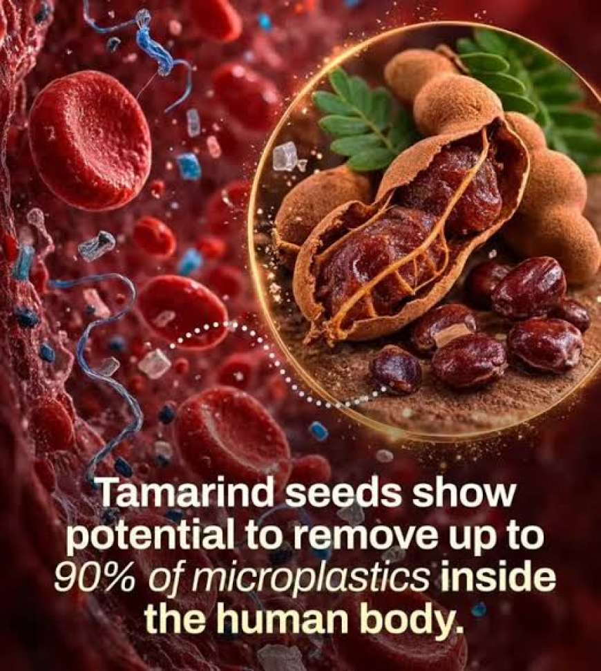 Tamarind seeds-ಇನ್ನು ಮುಂದೆ ಹುಣಸೆ ಬೀಜ ಎಸೆಯಬೇಡಿ, ಇದು ನಿಮ್ಮ ದೇಹದ 90% ಪ್ಲಾಸ್ಟಿಕ್ ಕರಗಿಸುತ್ತೆ
