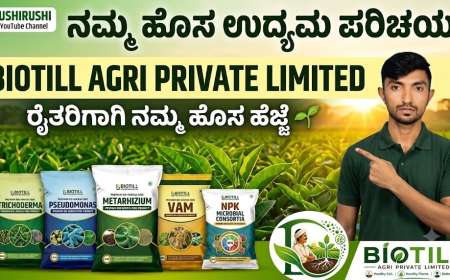 ಶುಂಠಿ,ಅಡಿಕೆ,ಬಾಳೆ,ದಾಳಿಂಬೆಗೆ ಟ್ರೈಕೊಡರ್ಮಾ,ಸುಡೊಮೊನಾಸ್ ಡ್ರೆಂಚಿಂಗ್ ಮಾಡಿ