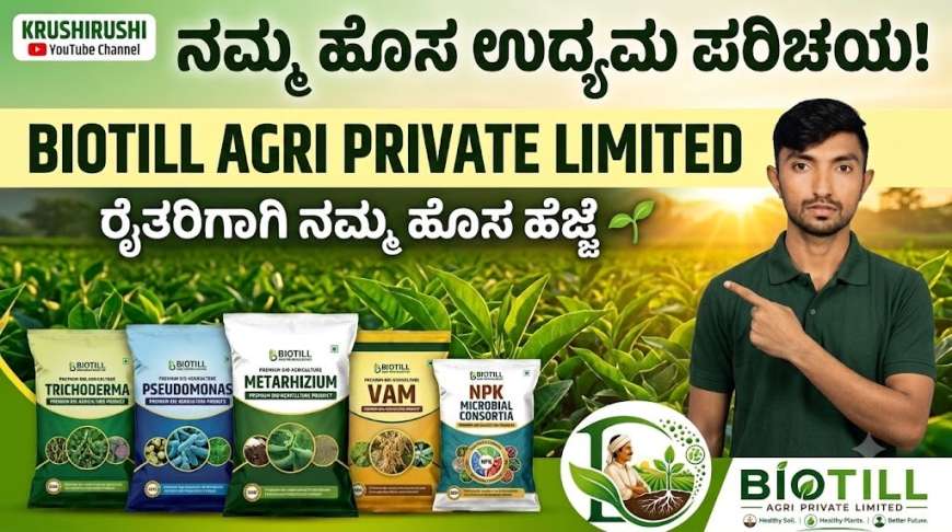 ಶುಂಠಿ,ಅಡಿಕೆ,ಬಾಳೆ,ದಾಳಿಂಬೆಗೆ ಟ್ರೈಕೊಡರ್ಮಾ,ಸುಡೊಮೊನಾಸ್ ಡ್ರೆಂಚಿಂಗ್ ಮಾಡಿ